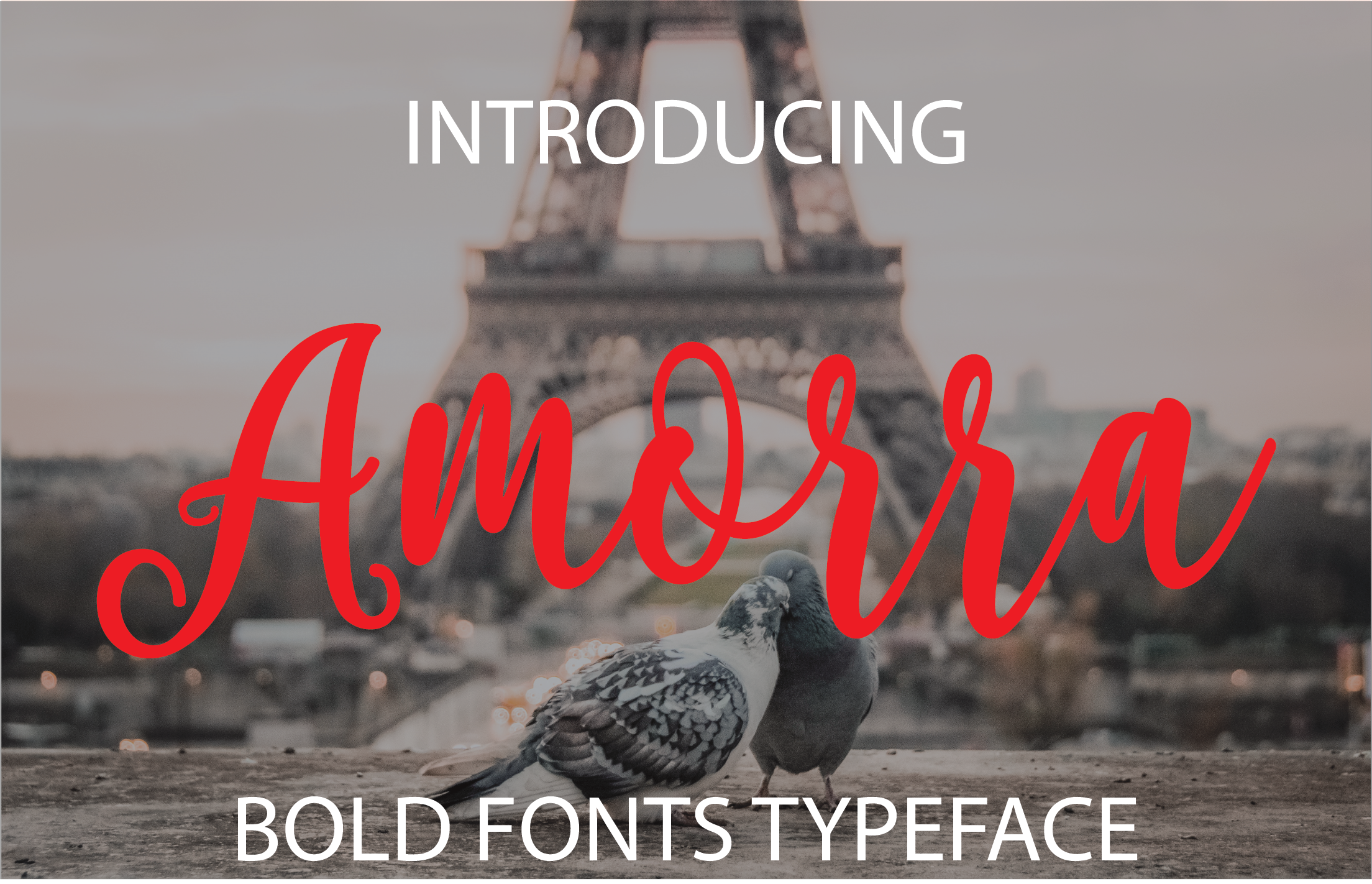 Amorra: A Relaxed Script Font That Works in Real Campaigns