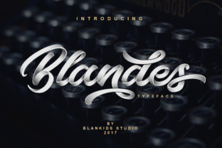 Blandes: A Bold, Handwritten Script Font for Real Business Branding