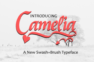 Camelia: A Dynamic Handwritten Font for Scroll-Stopping Marketing