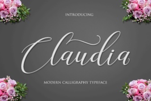 Claudia Script: A Modern Handwritten Font for Campaign Headlines