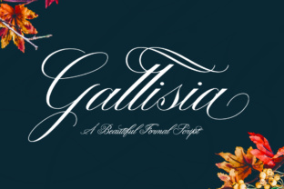 Gallisia Script Font for Elegant Digital Branding