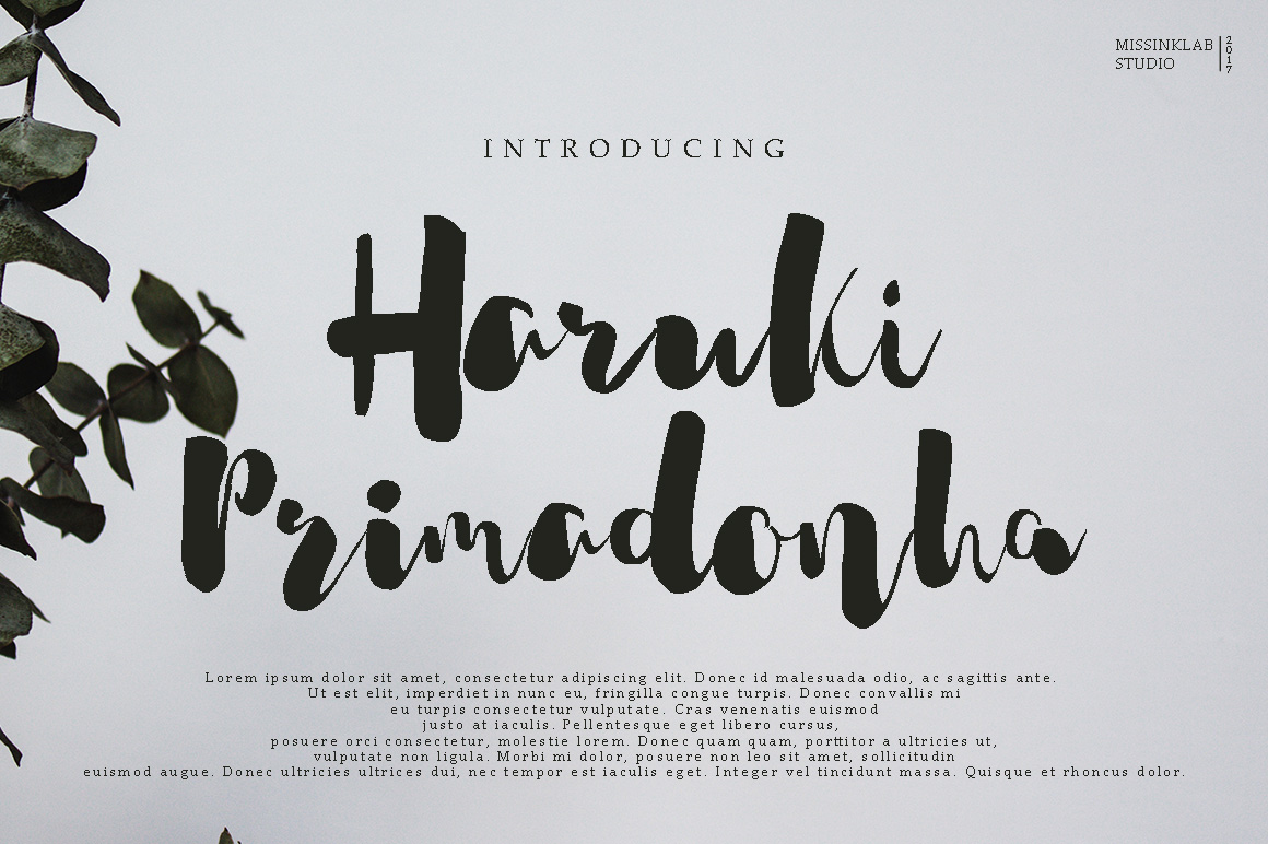 Haruki Primadonha: A Modern Script Font That Feels Like Hand-Lettered Magic