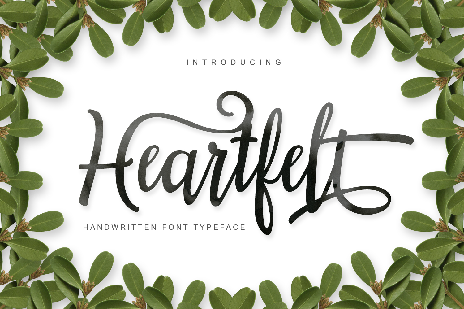 Heartfelt: A Thoughtful Script Font for Editorial Warmth
