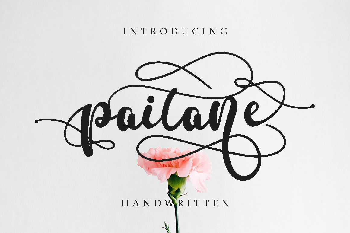 Paitane: A Modern Script Font That Makes Your Campaign Stand Out
