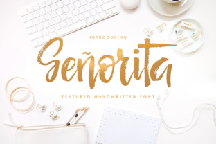Señorita: A Dry-Brush Script Font with Editorial Warmth